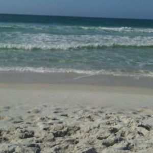 Meet your Posher, Brandy